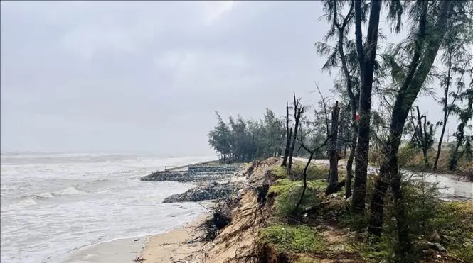Đài PTTH Hà Nội